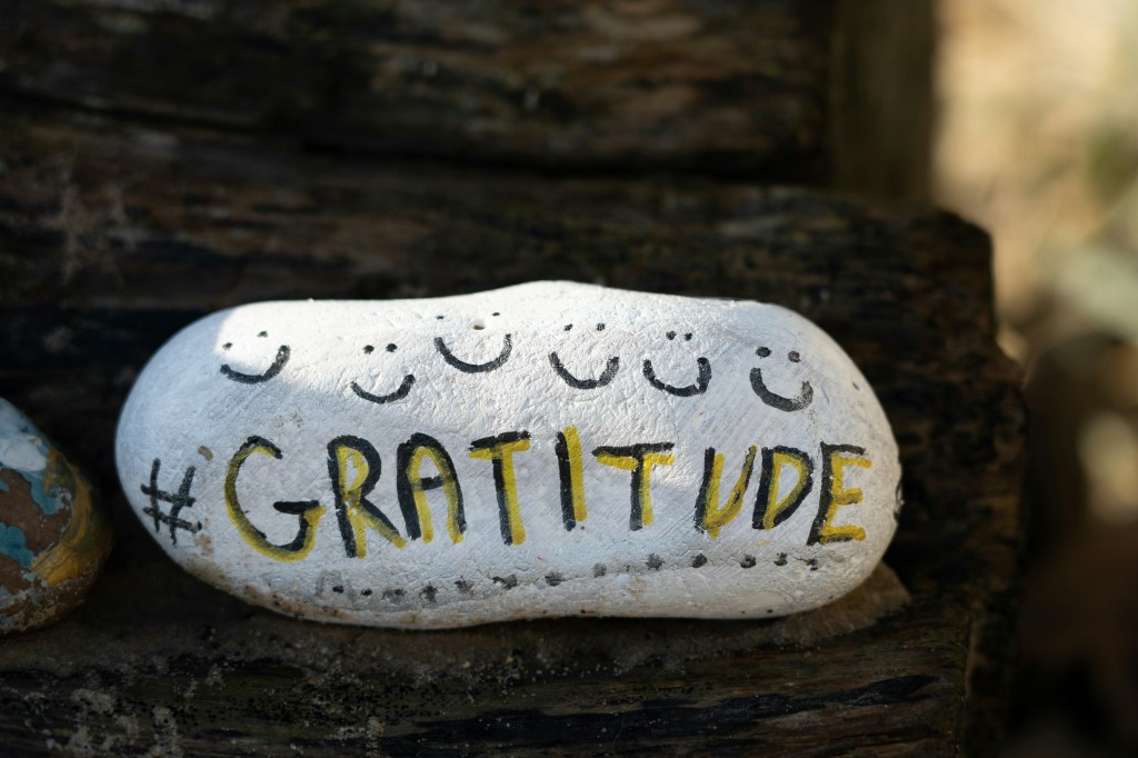 practicing gratitude rock and happy face